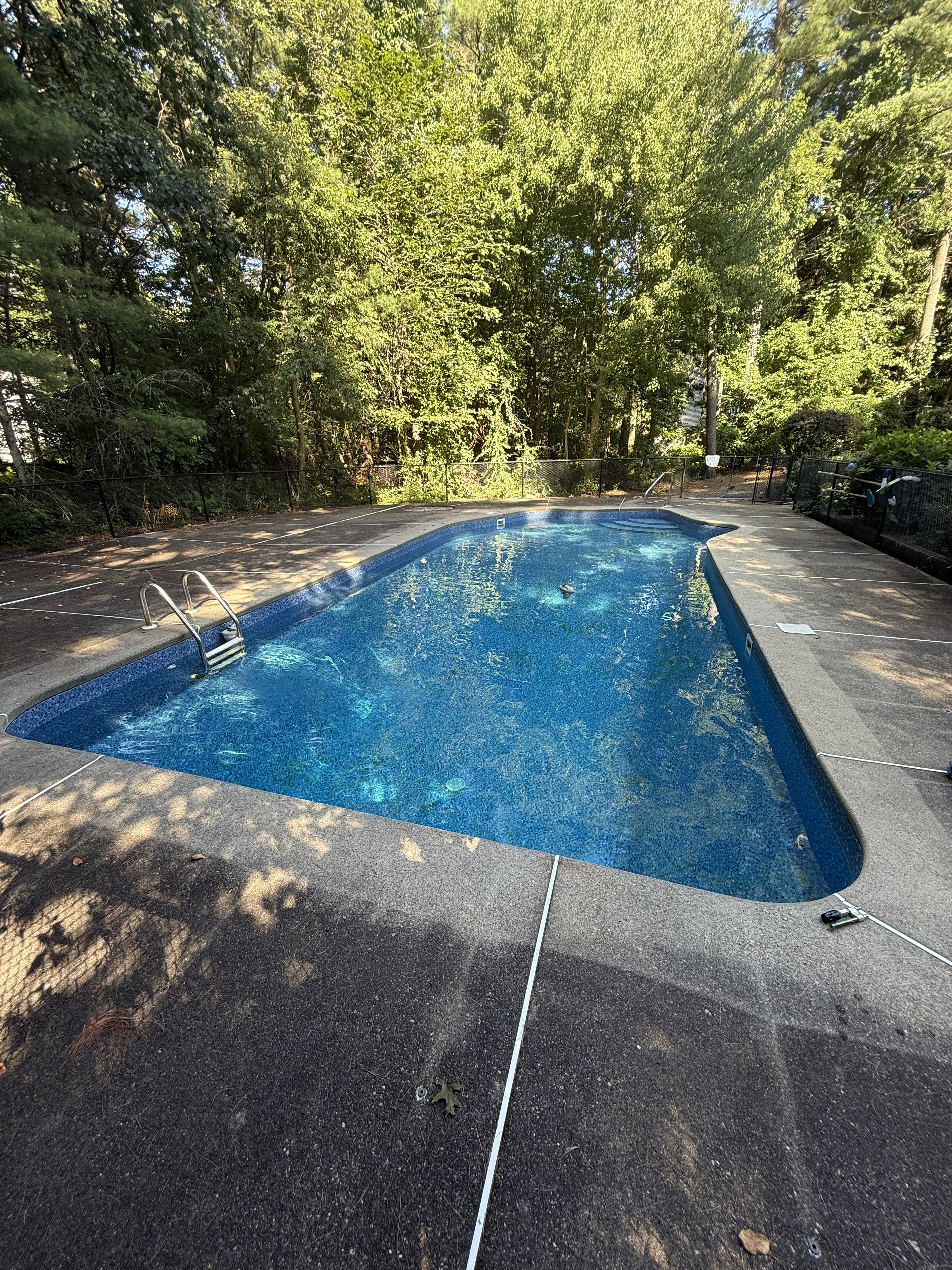 Before pressure washing project