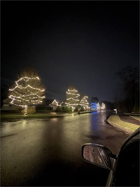 Trees wrapped in white lights along a street