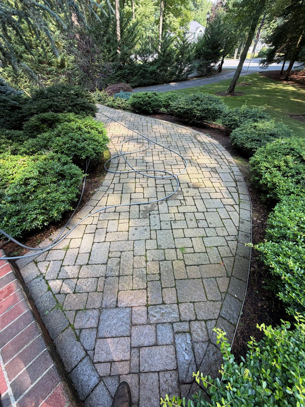Curved paver walkway darkened with moss and dirt