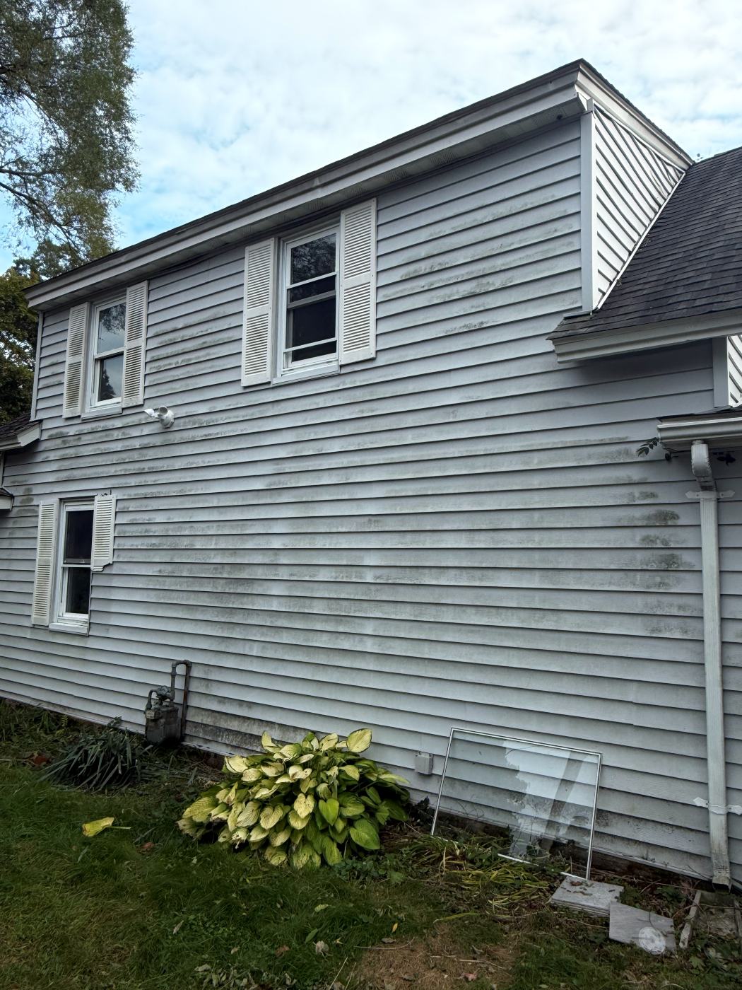 Gray vinyl siding darkened with mildew